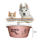 Pet Feeding Bowl